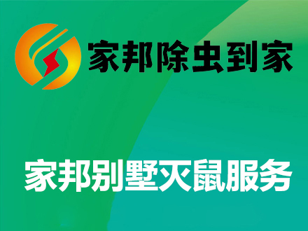 家庭別墅滅鼠