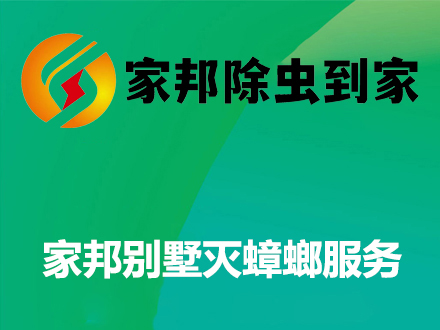 家庭別墅滅蟑螂
