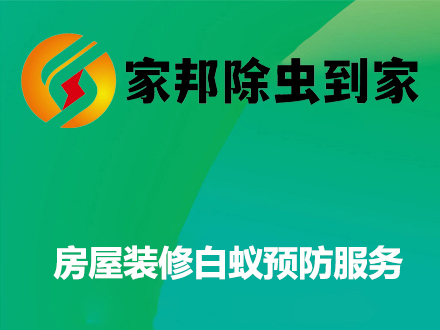 房（fáng）屋裝修白蟻預防