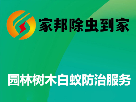 園林樹木白蟻防治