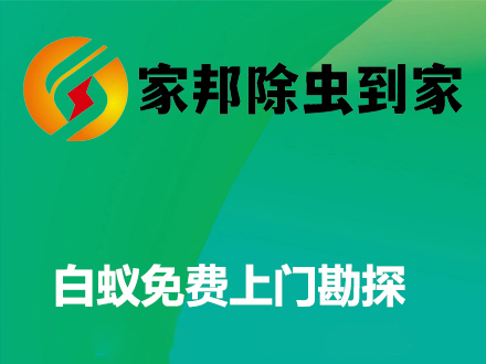 白蟻免（miǎn）費上門勘察