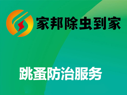 跳蚤防治服務