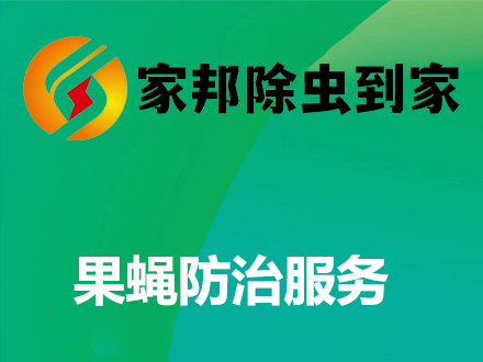 果蠅防治服務