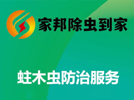 蛀木蟲防治服（fú）務